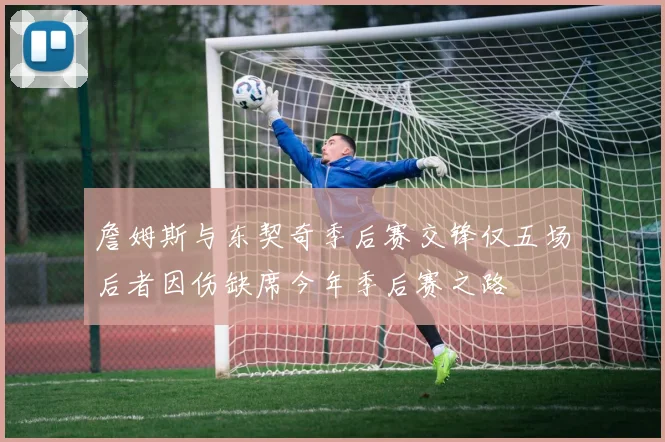 詹姆斯与东契奇季后赛交锋仅五场后者因伤缺席今年季后赛之路