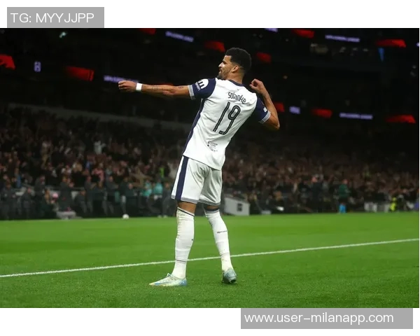 热刺新任商业总监寻求球场冠名商已损失超六千万英镑 热刺新任商业总监寻求球场冠名商已损失超六千万英镑