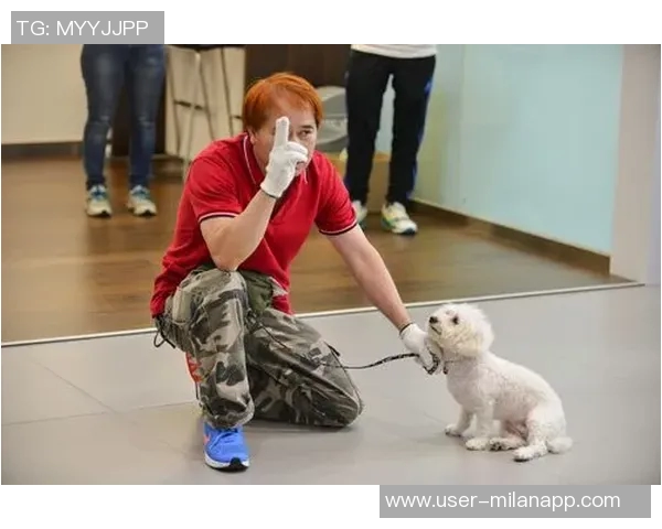 悬赏金激增至两万美元拉姆塞全力寻回心爱爱犬